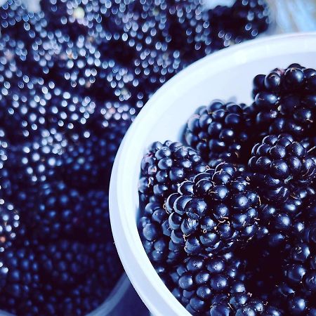 Ærøskøbing Blackberryhouse מראה חיצוני תמונה