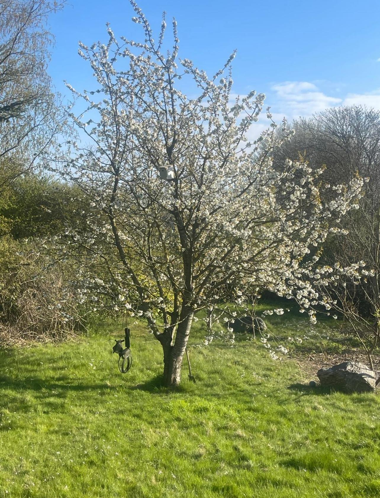 Ærøskøbing Blackberryhouse מראה חיצוני תמונה